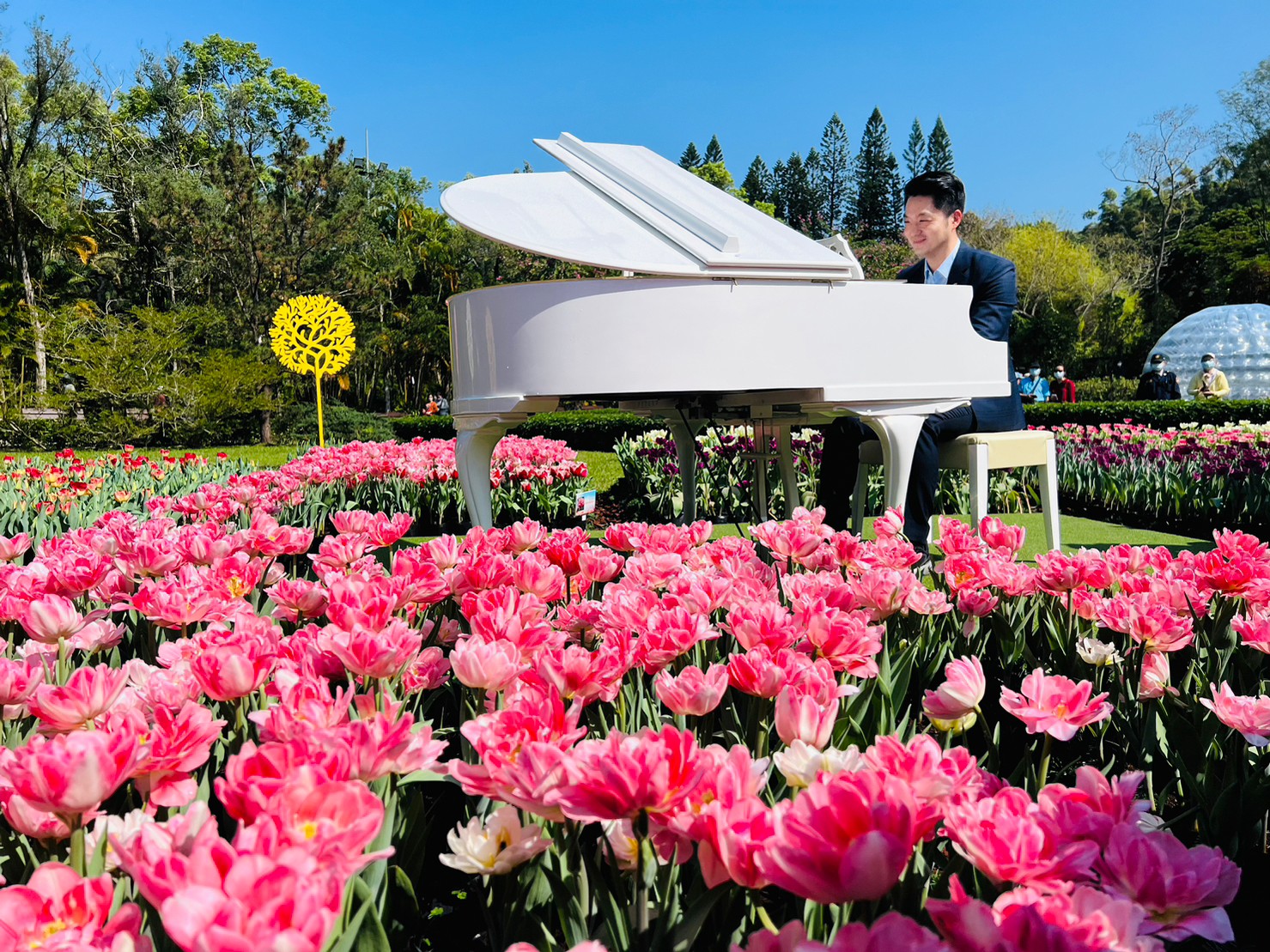 Triễn lãm hoa Tulip tại Dinh thự Sỹ Lâm năm 2023. (Ảnh: Vụ Công viên, Sở Công trình Công cộng thành phố Đài Bắc cung cấp) 