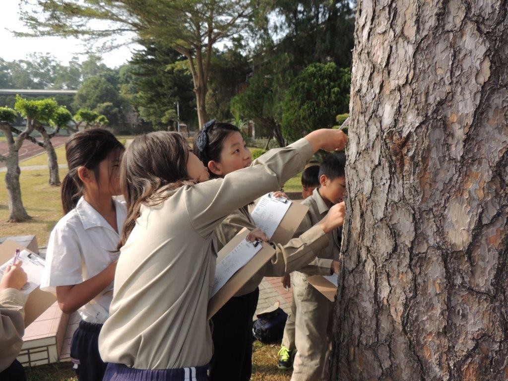 南投名崗國小-啟發學生觀察學校與家鄉的生物多樣性。(照片來源：特生中心)