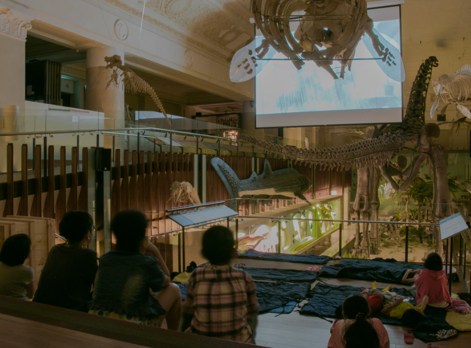 Anak-anak penduduk baru bermalam di museum bersama dinosaurus (sumber: Museum Nasional Taiwan - NTM)