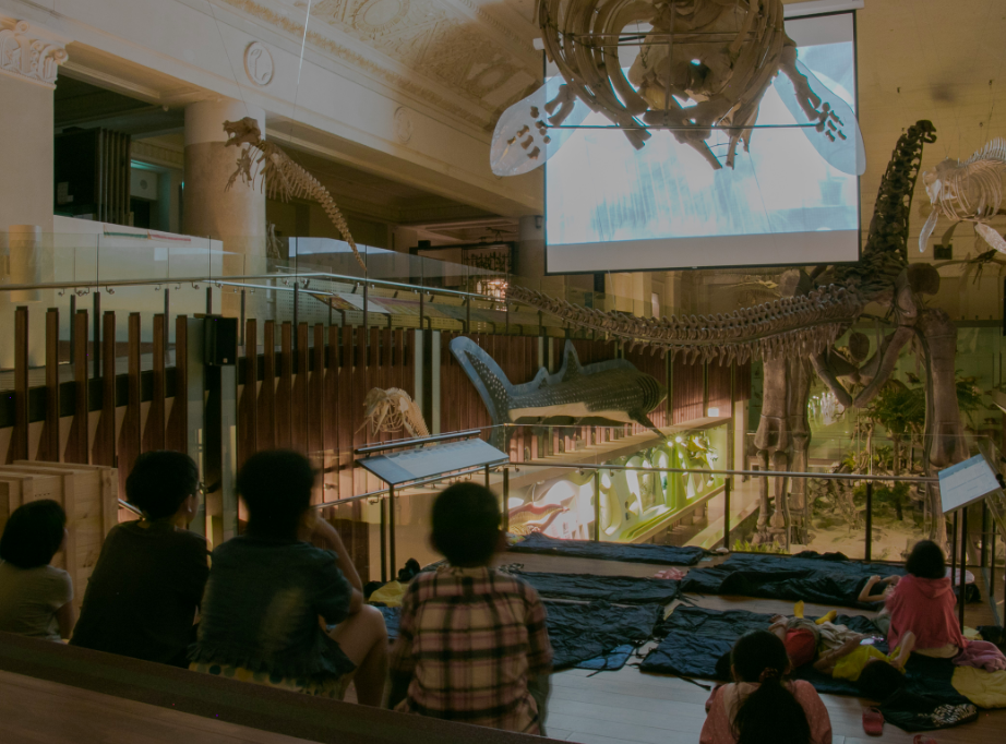 New second-generation spend a night at the Dinosaurs Museum watching fascinating movies