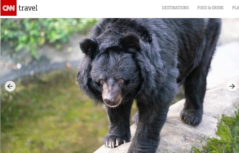 CNN記者在外號「黑熊媽媽」的國立屏東科技大學野生動物保育研究所副教授黃美秀帶領下，到黑熊棲息地採訪。(照片來源：CNN官網)