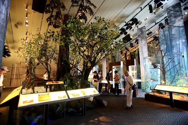 Visitors to Lanyang Museum learn about Yilan’s diverse ecosystems, flora and fauna, geology and earliest inhabitants (Taiwan Today photo)