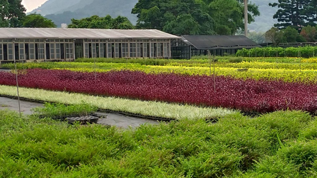 照片來源：新北市政府農業局