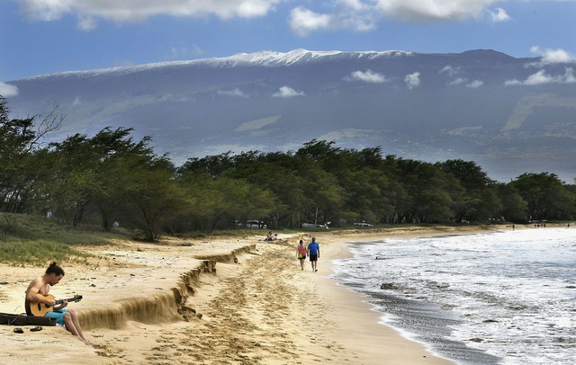 海拔僅1900公尺的波利波利州立公園（Polipoli State Park）也可看到下雪美景 打破以往紀錄。(照片來源：TN)