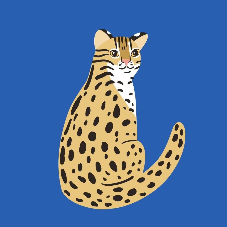 (Leopard cat illustration by Molodtsova)