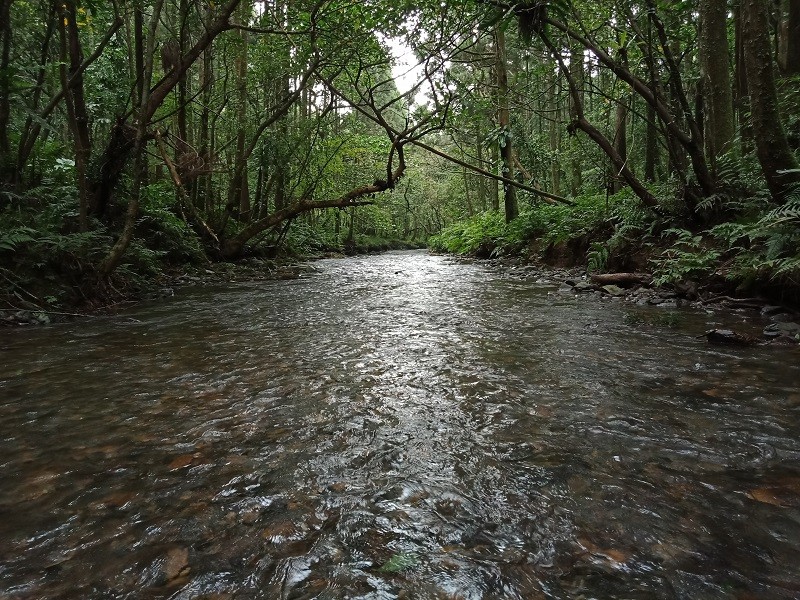 ‘Pingxi River’ means ‘flat stream” in Chinese, and the trail ends on a clear day with a wonderful view of Turtle Island