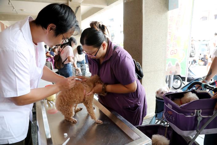 活動現場提供免費的犬貓健診、寵物登記、狂犬病及七合一疫苗注射。(翻攝自臺南市政府全球資訊網)