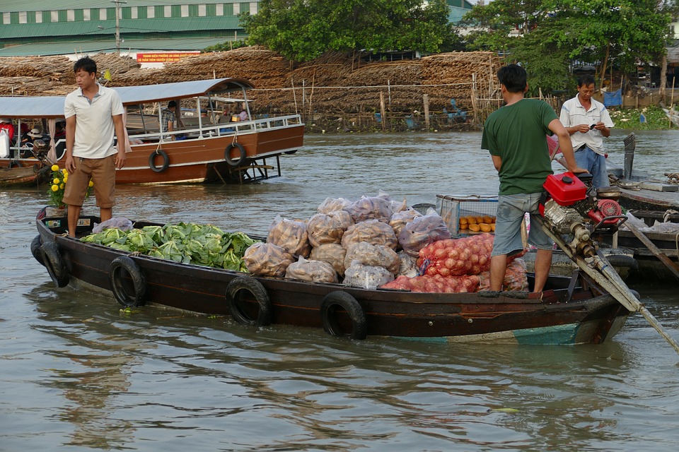 Hình ảnh minh họa từ Pixabay