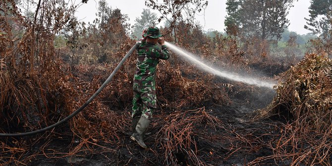 Masalah kebakaran hutan riau sudah diatasi 