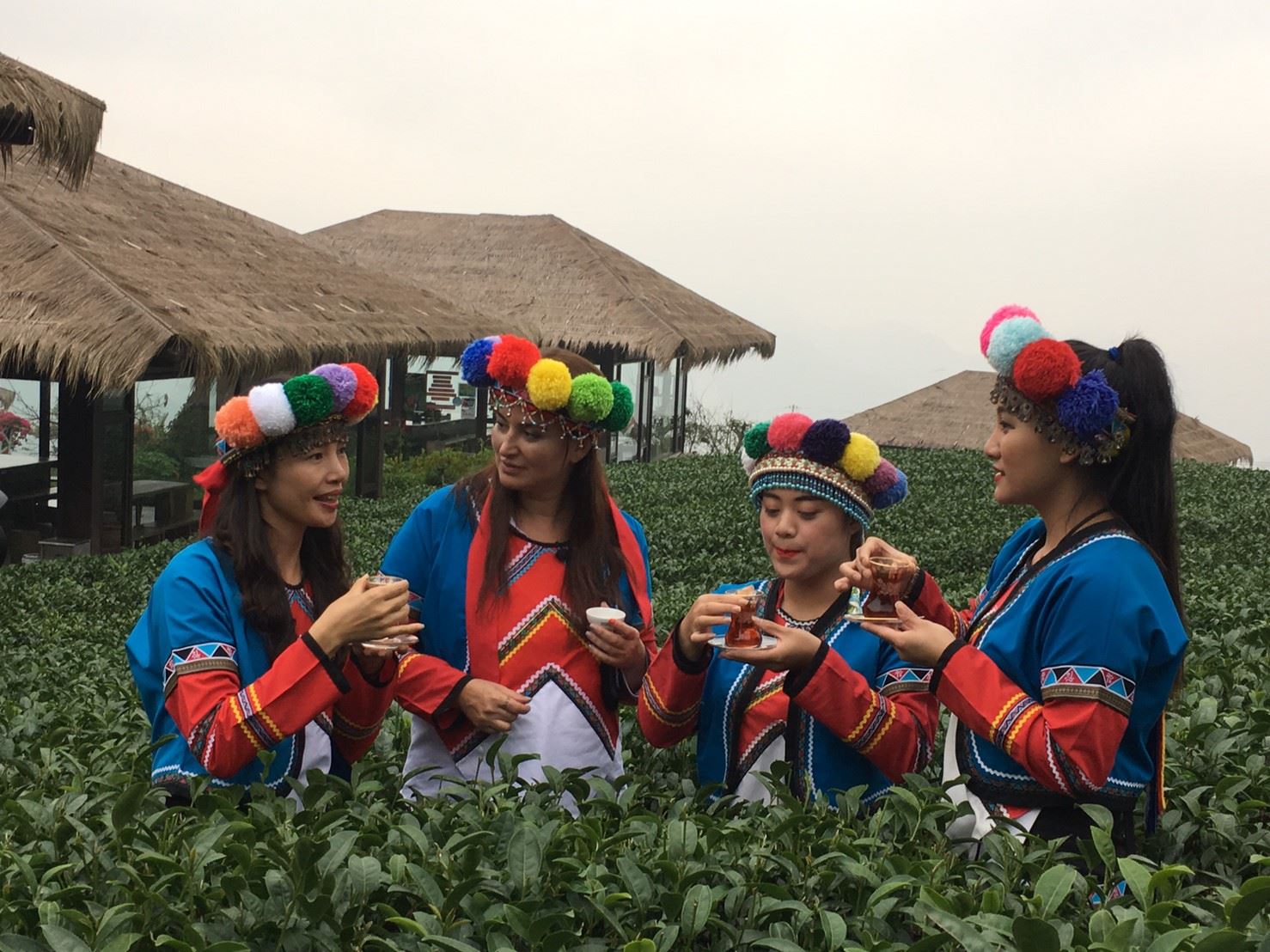 Magazine Food and Travel Chief of Turkish Edition Ebru Erke experienced process of making Alishan tea in Chiayi County.  Attribute: Chiayi County Government