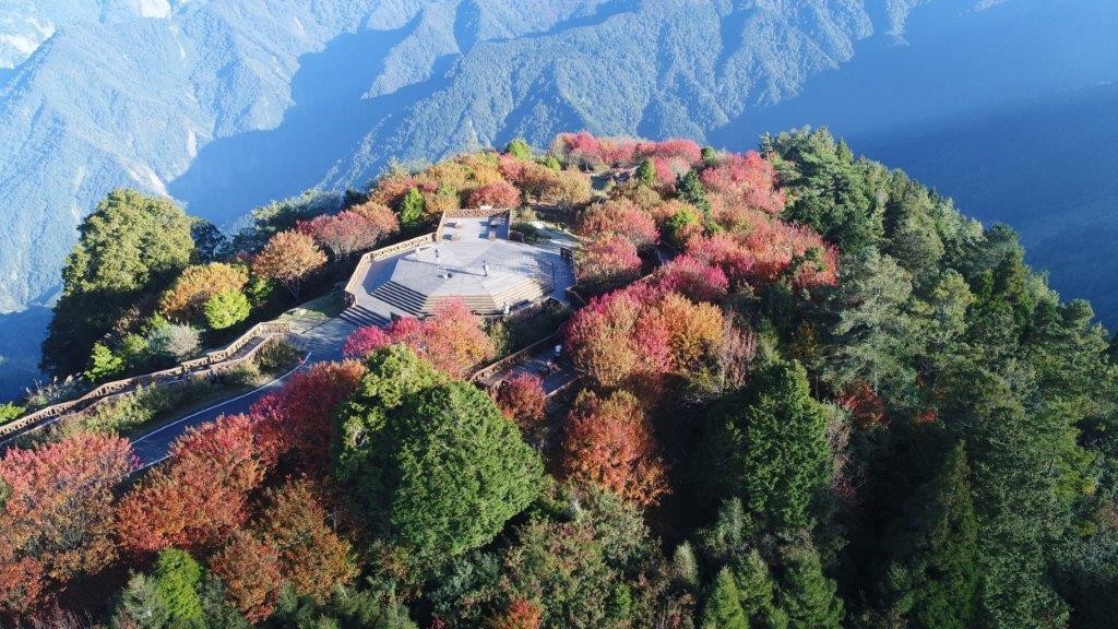 小笠原山空拍照。(照片來源：林務局)