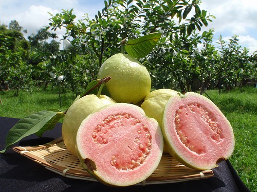 Taiwan guavas.(Image from http://blog.ilc.edu.tw/blog/blog/2413)
