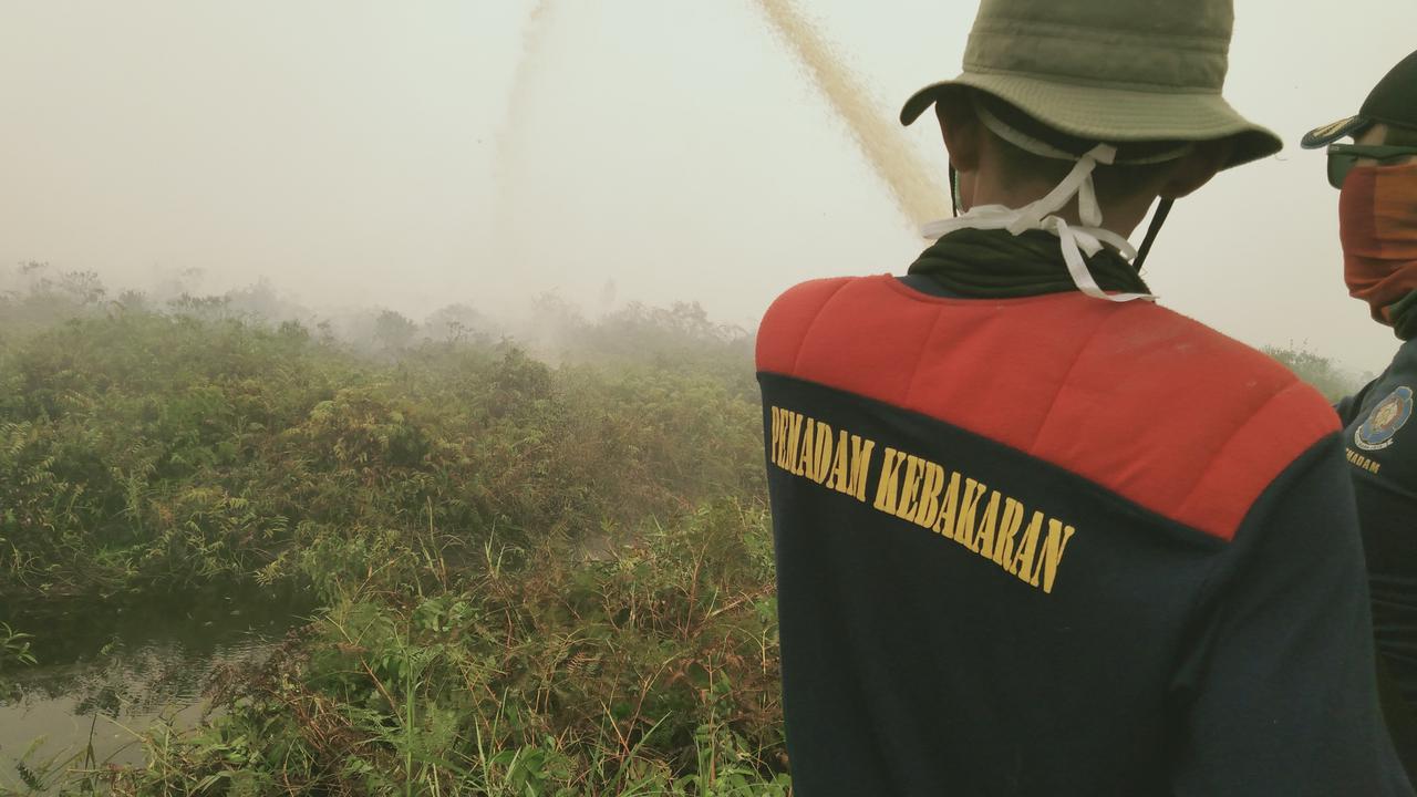 Petugas pemadam Karhutla berjibaku memadamkan Karhutla di lahan gambut Kabupaten Tanjung Jabung Timur. (Liputan6.com/Gresi Plasmanto)