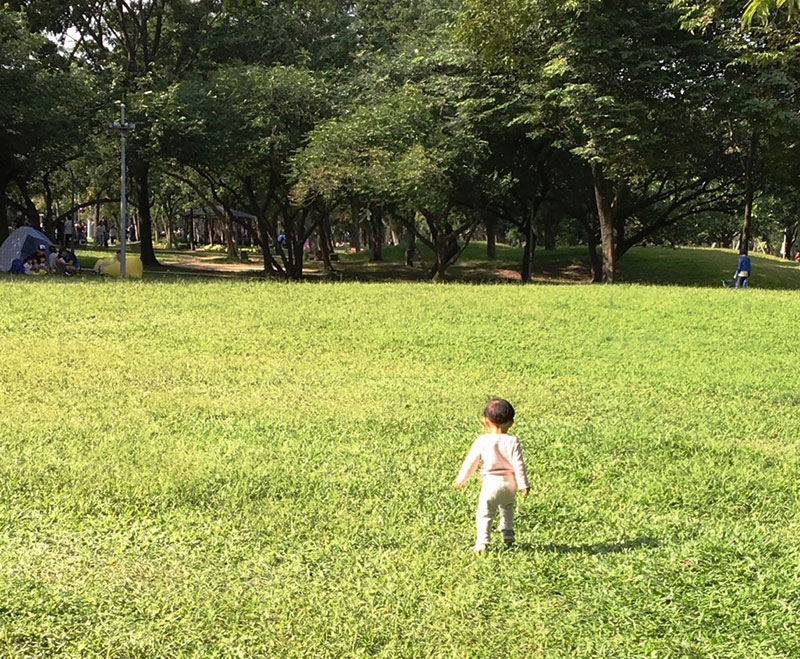 Taipei's Da'an Forest Park.(Taiwan News photo)