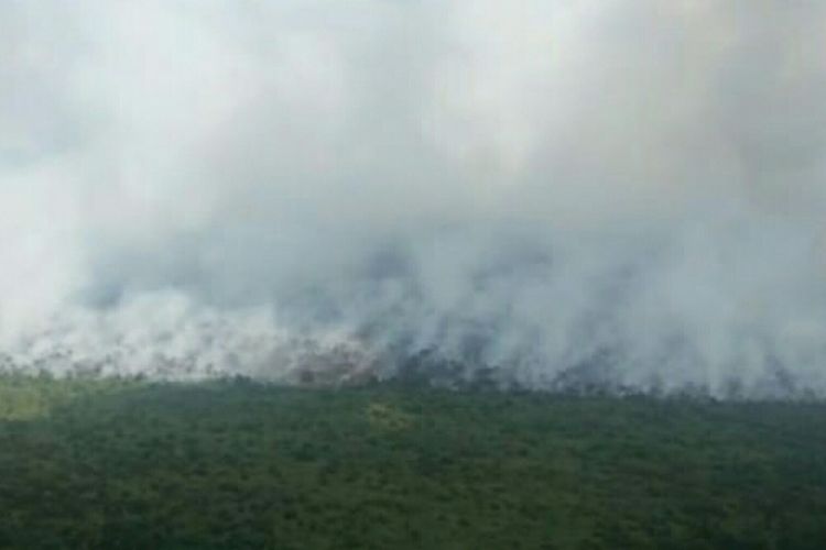 Kebakaran hutan dan lahan di wilayah Kecamatan Teluk Meranti, Kabupaten Pelalawan, Riau, terpantau dari udara oleh Tim Satgas Karhutla Riau, Jumat(kompas)