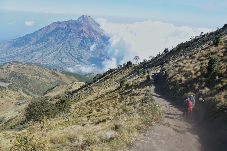 Pendaki melewati jalur pendakian Selo di Gunung Merbabu, Jawa Tengah