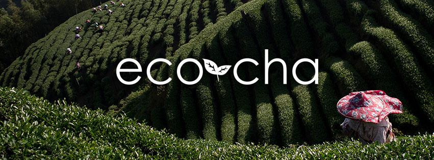 金安迪（Andy Kincart）成立「eco cha一口茶」品牌，將臺灣茶文化帶進世界。(翻攝自eco cha臉書專頁)