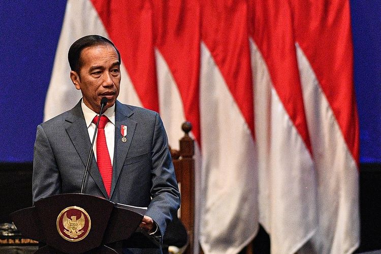 Presiden Jokowi Akui Sulit Evakuasi WNI dari Kapal Diamond Princess