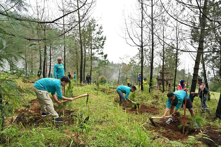  Sebelumnya program Siap Darling telah melakukan penghijauan di Kompleks Candi Prambanan, Ratu Boko, Candi Ijo Penghjauan Benteng Van Den Bosch di Ngawi dan juga Taman Wisata Alam (TWA) Kawah Ijen pada tahun 2019.