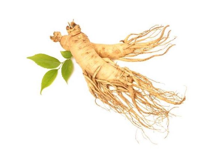 Ginseng sebagai salah satu contoh obat alami