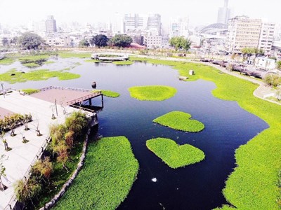 會呼吸的湖泊，中市星泉湖「雙心水草」再掀搶拍風潮(翻攝自臺中市政府網站)