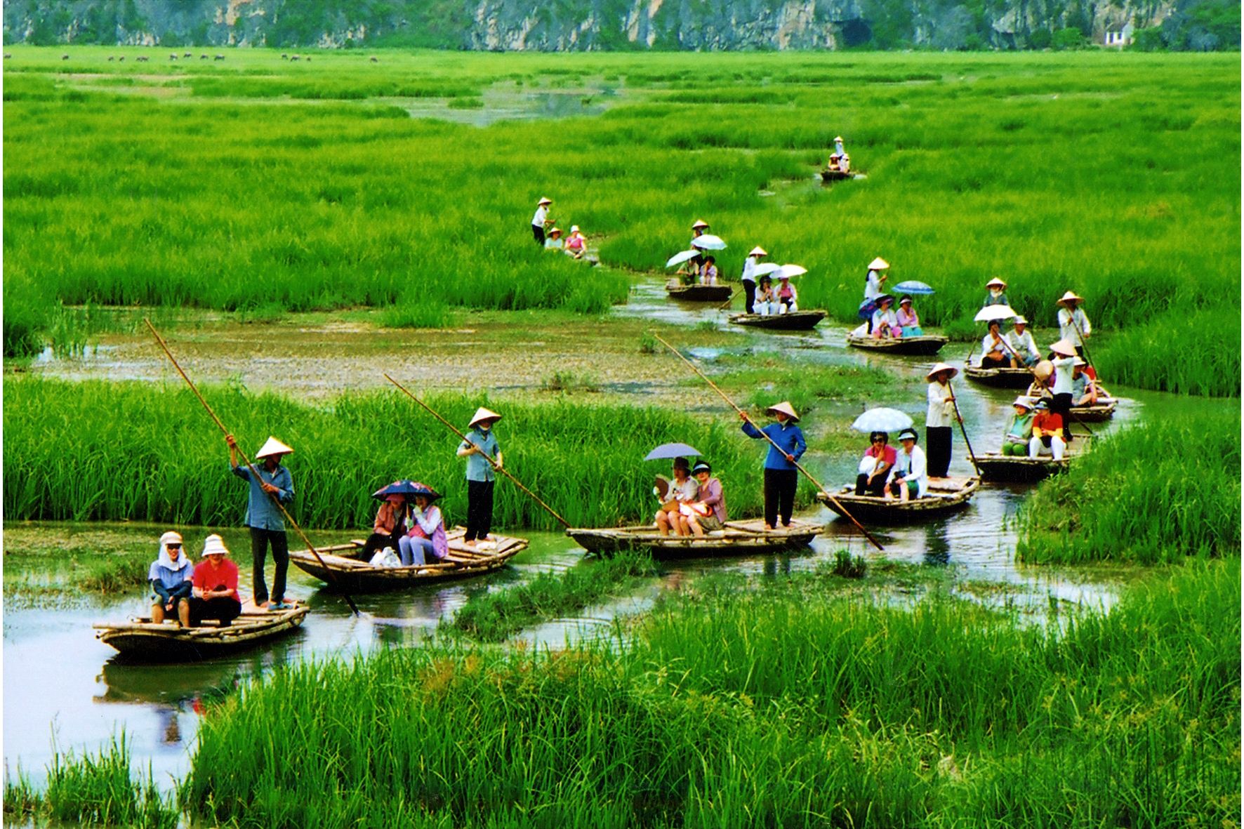 Ngày 8/5, Bộ Văn hóa, Thể thao và Du lịch ban hành Kế hoạch số 1749/KH-BVHTTDL, phát động Chương trình “Người Việt Nam đi du lịch Việt Nam” （ảnh：Internet）