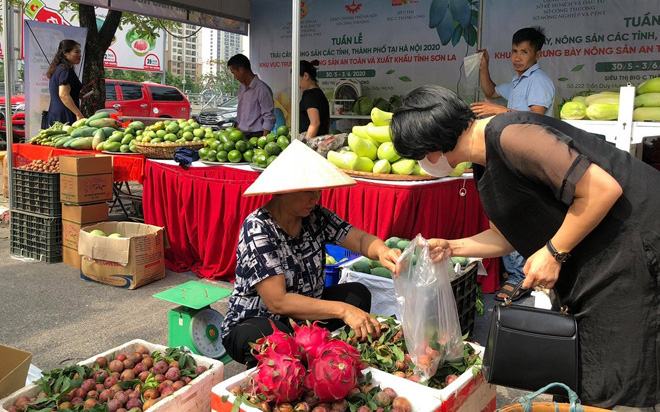uần hàng trái cây, nông sản các tỉnh, TP tại Hà Nội năm 2020 diễn ra từ ngày 11 đến hết 15/6, tại siêu thị MM Mega Market Hà Đông