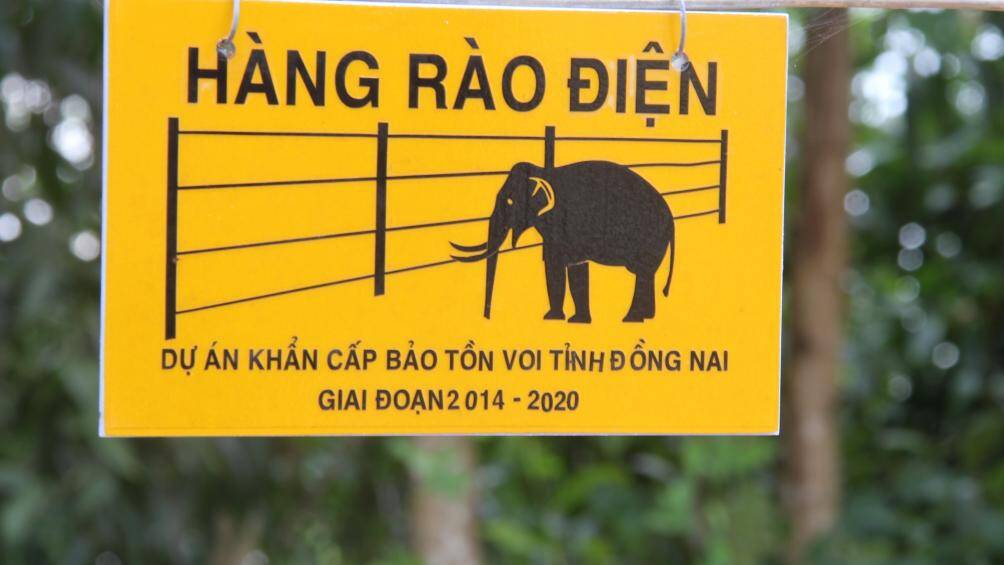 Hàng rào điện bảo tồn voi trong Khu bảo tồn thiên nhiên Văn hóa Đồng Nai.