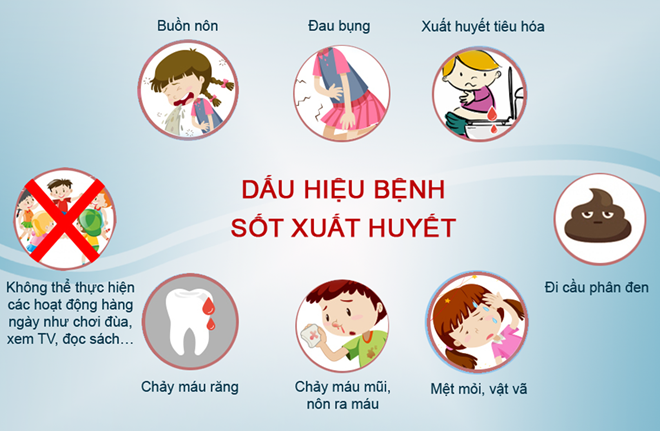 dấu hiệu bệnh sốt xuất huyết (ảnh: internet