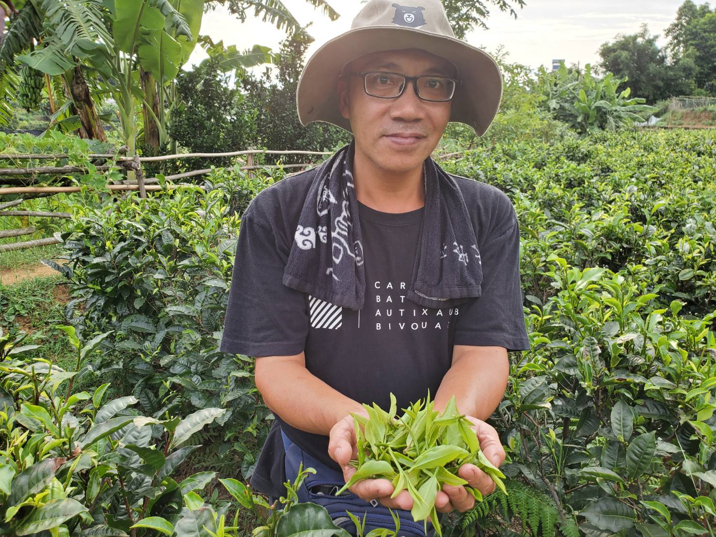 新北好茶東方美人茶比賽特等獎得主粟益民(翻攝自新北市政府網站)