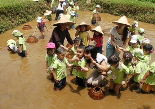 ảnh minh họa (ảnh từ internet