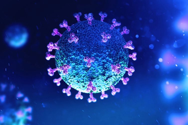 Ilustrasi corona virus (Covid-19)(shutterstock)