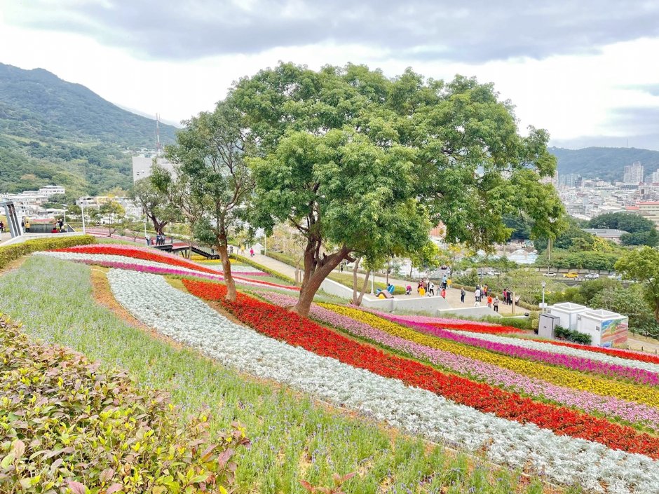 「台版富良野」，大片花海好浪漫　圖／翻攝自台灣旅遊資訊網