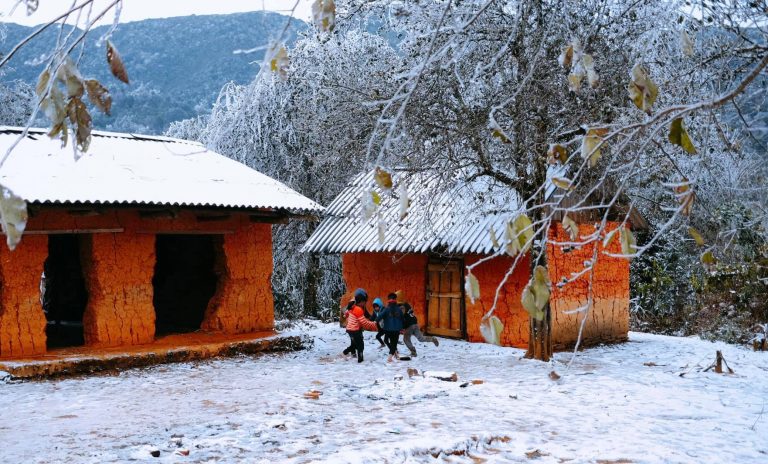 越南沙壩山脈、樹林、草叢均覆蓋白雪。（圖／翻攝自Vntrip.vn）