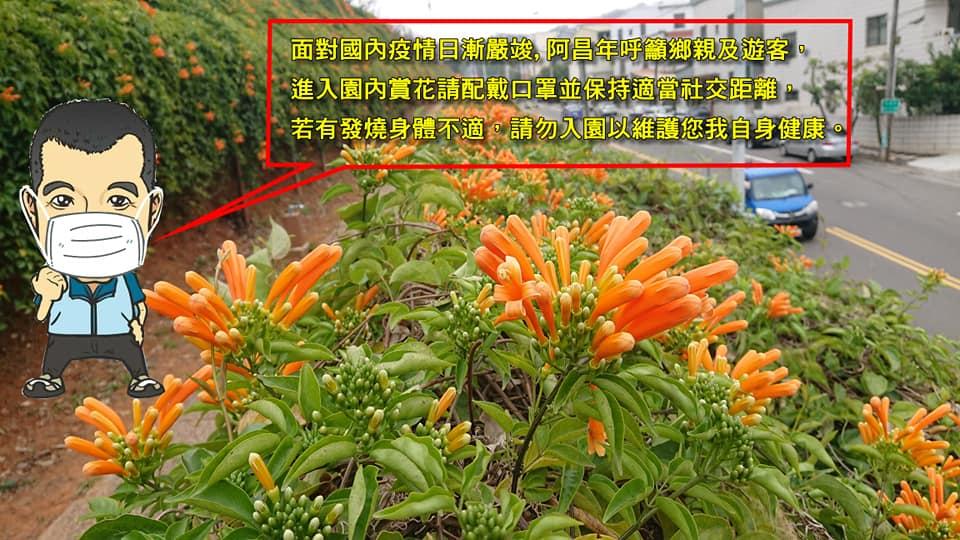 銅鑼環保公園為苗栗最佳賞花景點 圖／翻攝自「苗栗縣銅鑼鄉公所」臉書