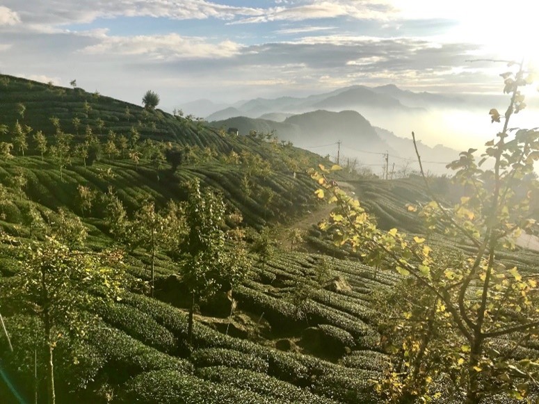 Foto cantik dari Gunung Alisan. Sumber : Twitter Nicola Smith  