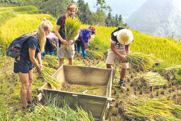 Bộ Khoa học và Công nghệ Việt Nam công bố Tiêu chuẩn quốc gia về Du lịch cộng đồng – Yêu cầu chất lượng dịch vụ. (Ảnh: trích dẫn từ webside Du Lịch Tầm Nhìn Việt