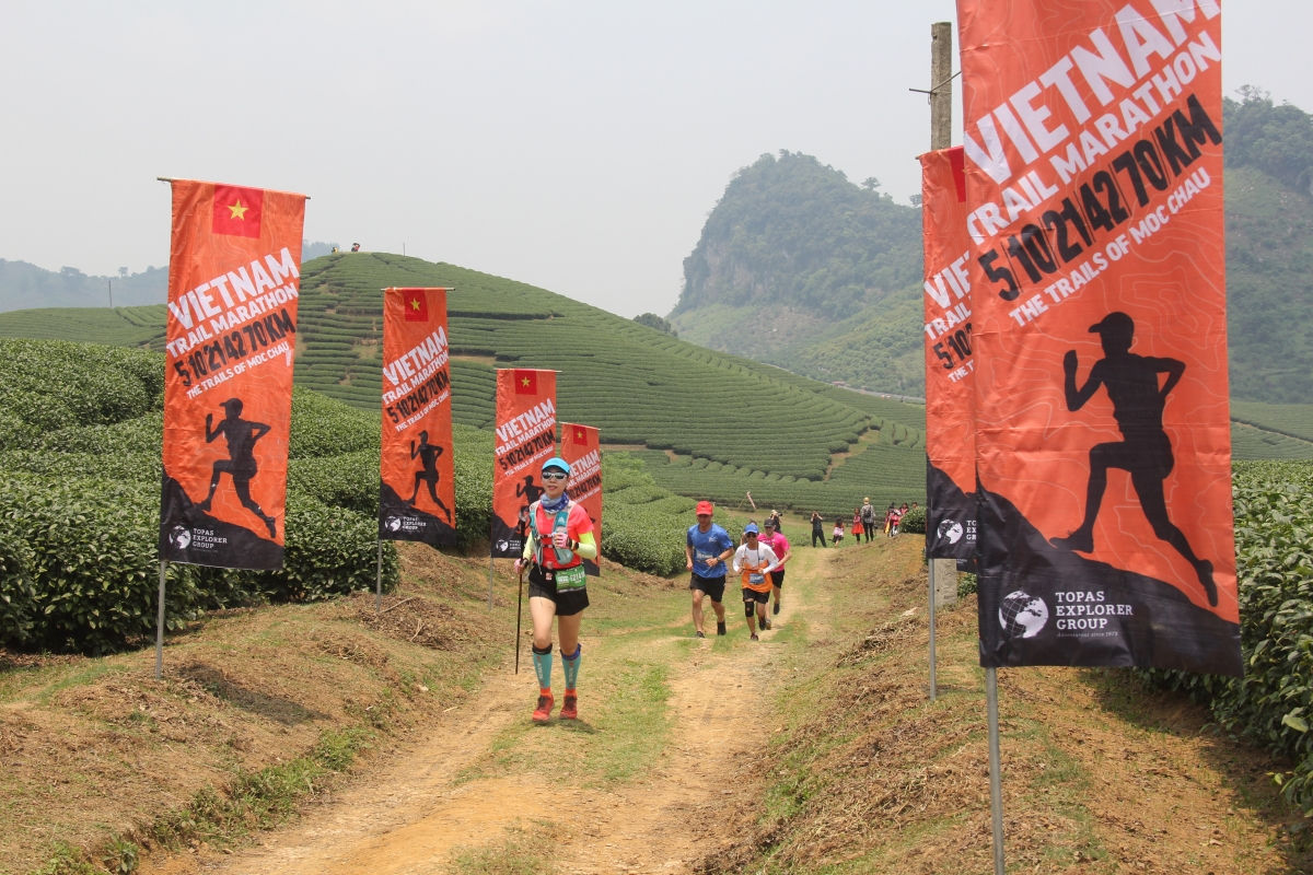 Vietnam Trail Marathon đường mòn băng qua các vườn đào, mận và đồi chè lần thứ 3 được tổ chức tại huyện Mộc Châu. (Ảnh: trích dẫn từ VOVLIVE