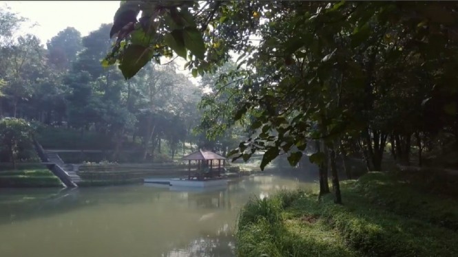 Bukan Hanya Tempat Relaksasi, Taman Jadi Sarana Pemulihan Ekosistem. Sumber : viva.co.id/Istimewa
