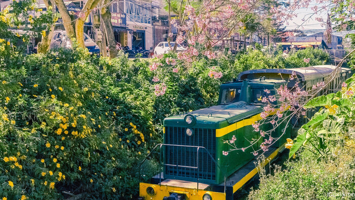 Ngỡ ngàng vẻ đẹp hoang sơ của đường tàu Trần Quý Cáp tại Đà Lạt. (Ảnh: trích dẫn từ Dulichvietnam Online