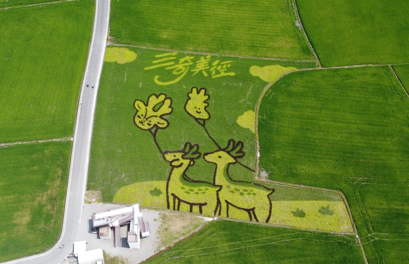 宜蘭三奇美徑 風箏嘉年華 搭熱氣球俯瞰彩繪稻田