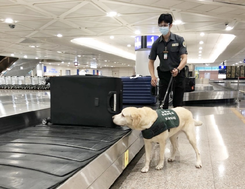 Bureau of Animal and Plant Health Inspection and Quarantine produced a picture card to remind the public what souvenirs can be brought into the country.   Photo provided by Taoyuan International Airport Corporation