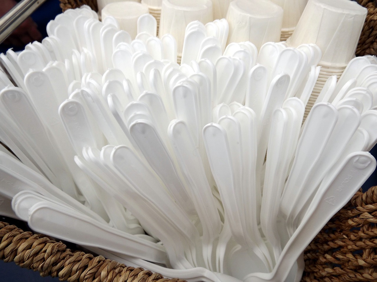 自8月1日起，8類限制使用對象不得提供由生物可分解塑膠（PLA）製成的免洗餐具  圖／取自Pixabay