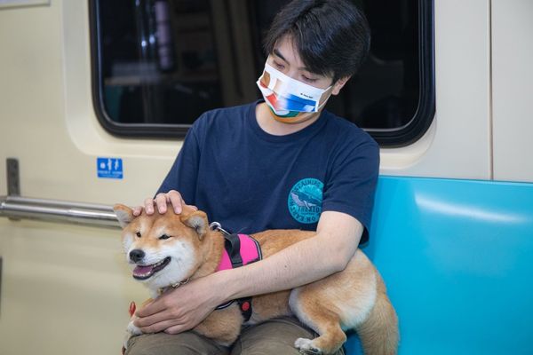 台北捷運日於4月9日舉辦一日限定寵物專車活動  圖／台北捷運提供