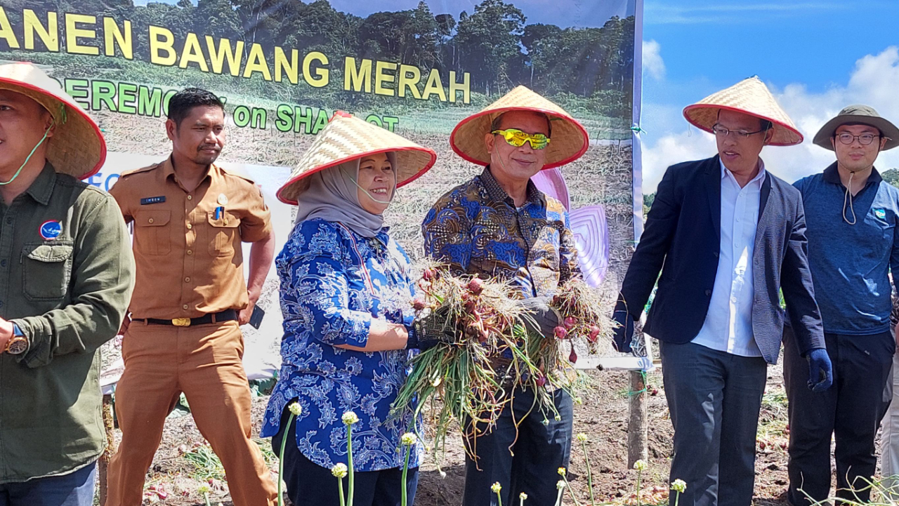 台灣駐印尼技術團於北蘇門答臘省舉辦紅蔥採收活動，展示輔導成果  圖／駐印尼台北經濟貿易代表處提供