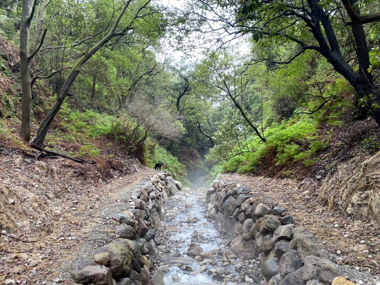 Ziming Creek Trail: new uncharted exploration of Yangmingshan. Photo provided by Department of Information and Tourism, Taipei City Government