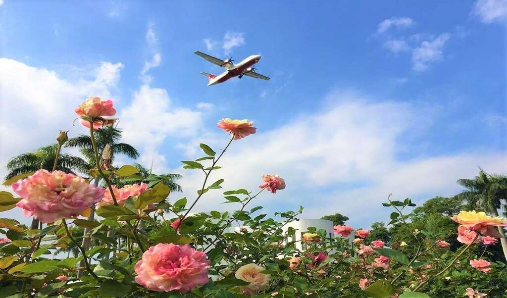 Festival Bunga Mawar akan berlanjut hingga 31 Maret.  Sumber foto : Pemerintah Kota Taipei
