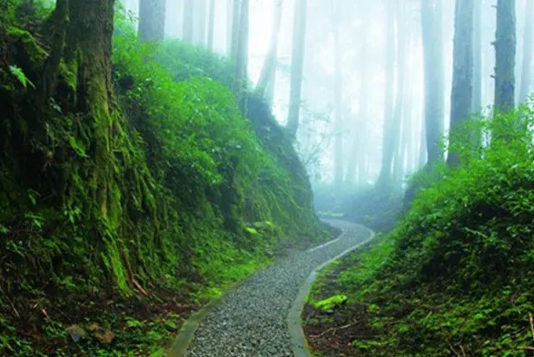 Đài Loan quảng bá vẻ đẹp của những con đường mòn trên núi với bạn bè quốc tế 