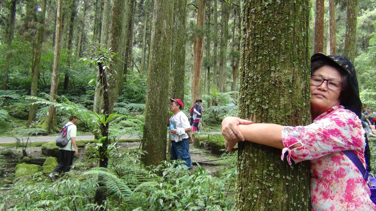 森林療癒舒緩壓力全球正夯 台灣首批森林療癒師通過認證  