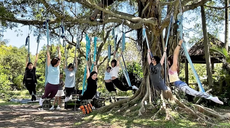 將空中瑜伽與攀樹結合，身心靈都跟著提升 圖／新住民瑜珈教室提供